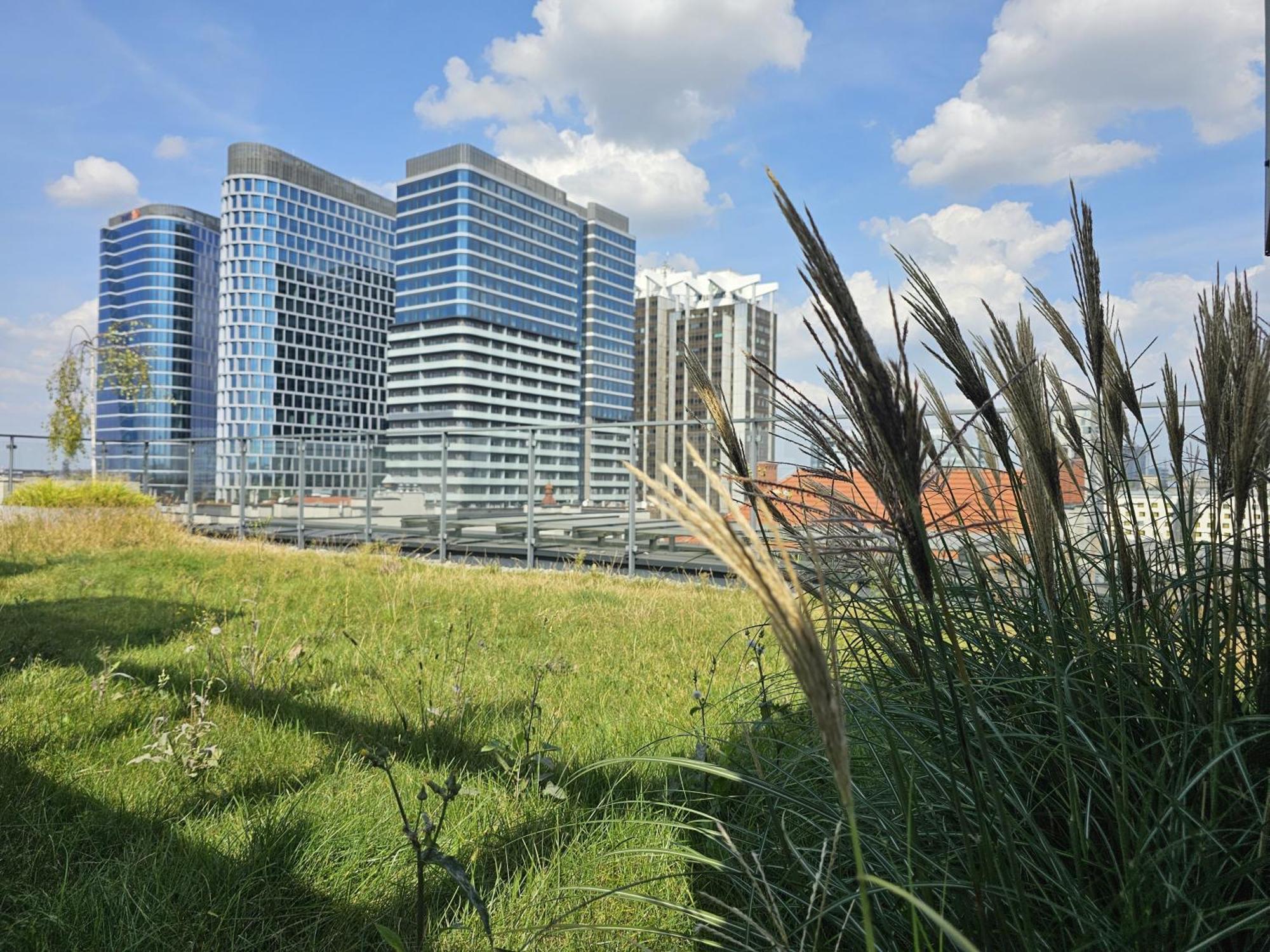 Urban Apartments Premium, Opolska 10 No 90, 2 Free Garages, Self Check-In Katoviçe Dış mekan fotoğraf